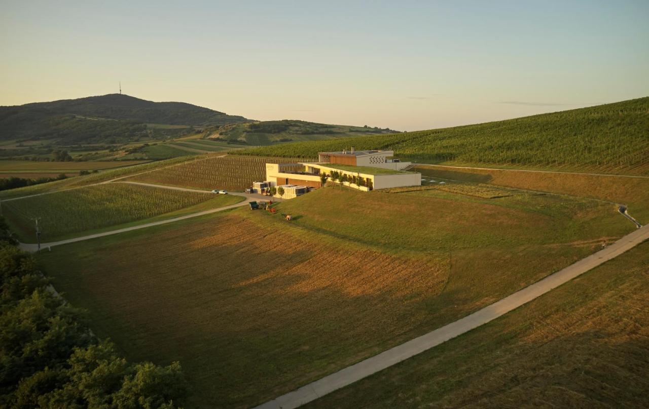 Henye Vendeghaz Hotel Bodrogkeresztur Exterior photo